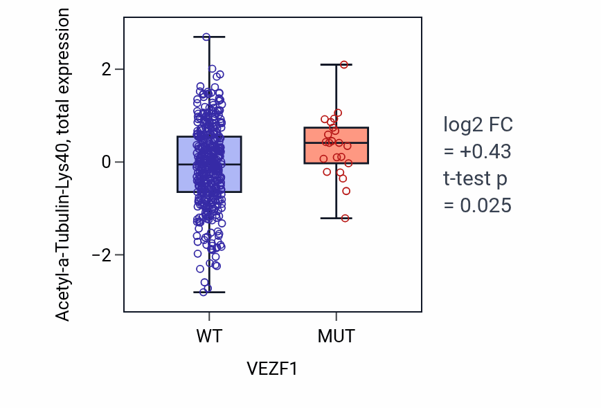 Box plot of Acetyl-a-Tubulin-Lys40 in VEZF1-low vs VEZF1-high samples in UCEC.