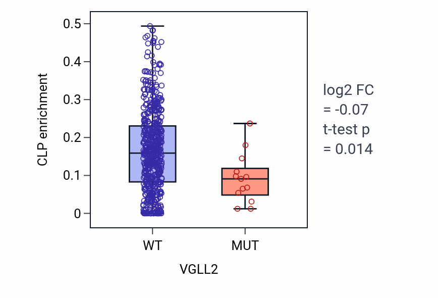 Box plot of CLP in VGLL2-low vs VGLL2-high samples in UCEC.