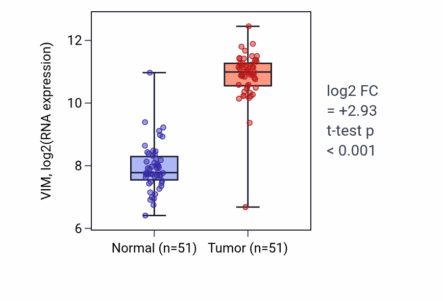 Tumor-vs-normal expression box plot for VIM RNA in KIRC.