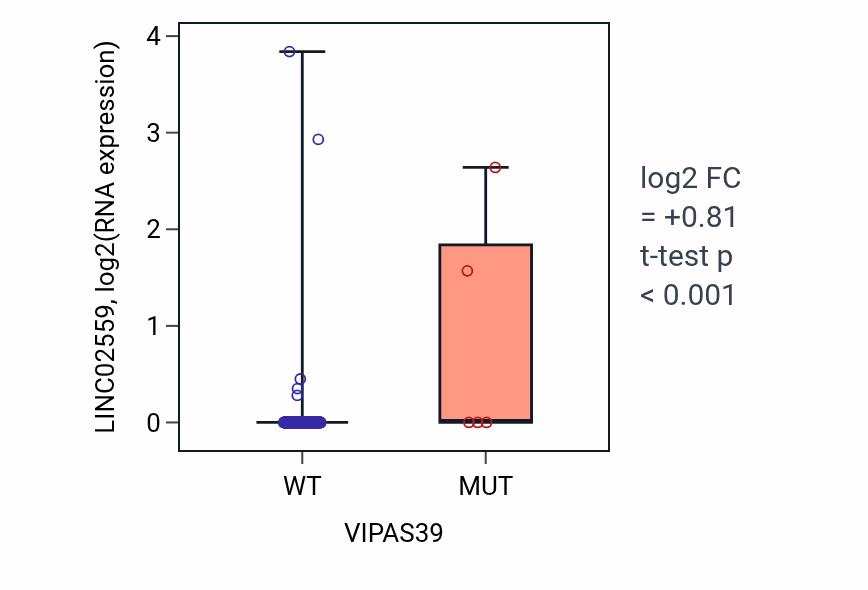 Box plot of LINC02559 in VIPAS39-low vs VIPAS39-high samples in CESC.