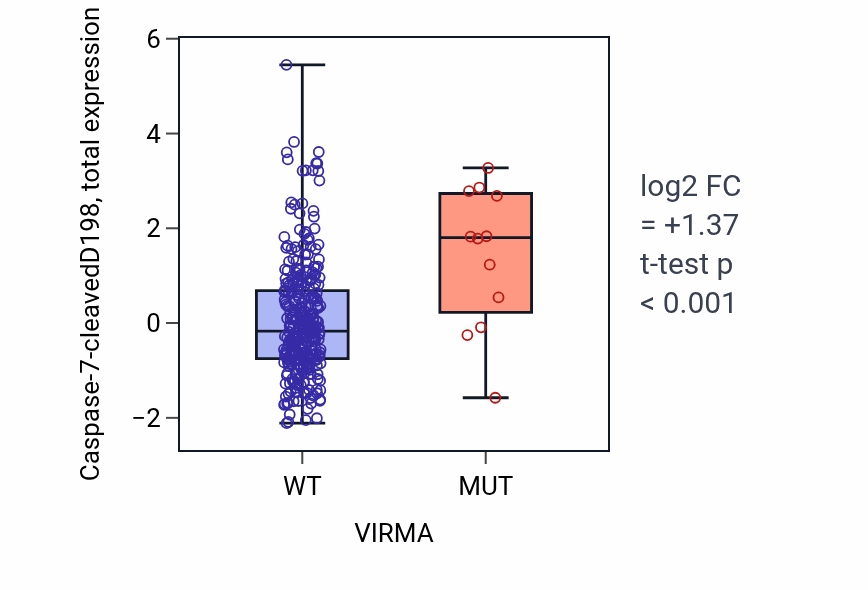 Box plot of Caspase-7-cleavedD198 in VIRMA-low vs VIRMA-high samples in COAD.
