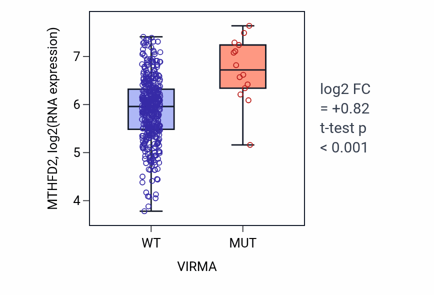 Box plot of MTHFD2 in VIRMA-low vs VIRMA-high samples in COAD.