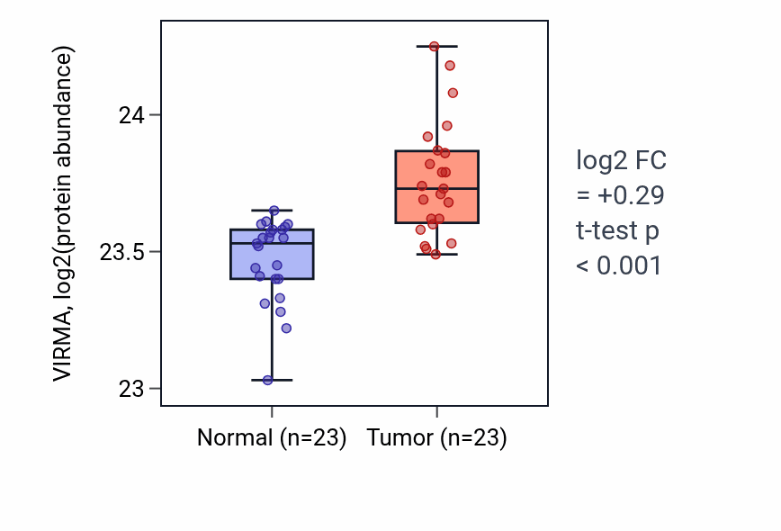 Tumor-vs-normal mass-spec protein box plot for VIRMA in HNSC.