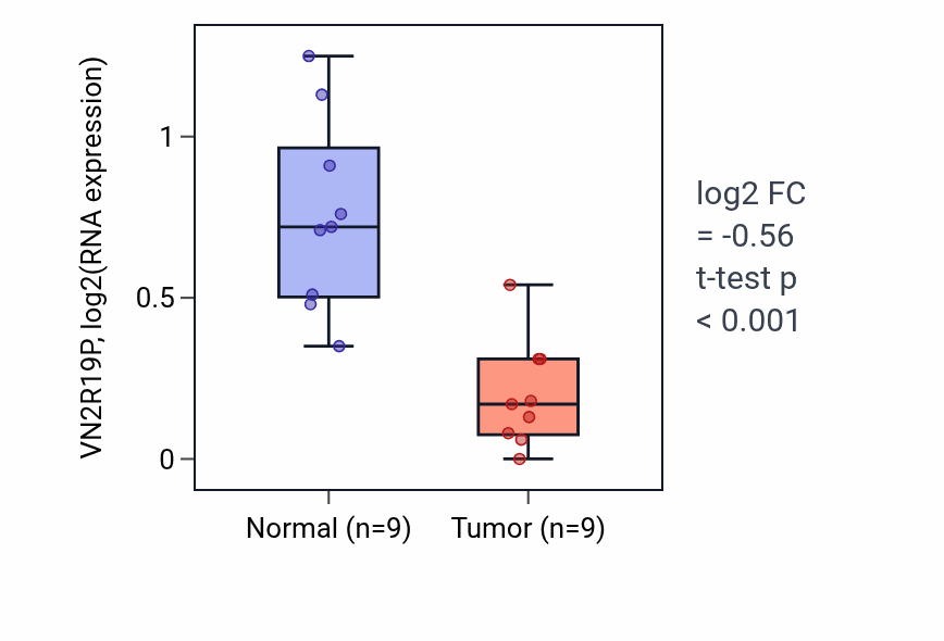 Tumor-vs-normal expression box plot for VN2R19P in THCA.