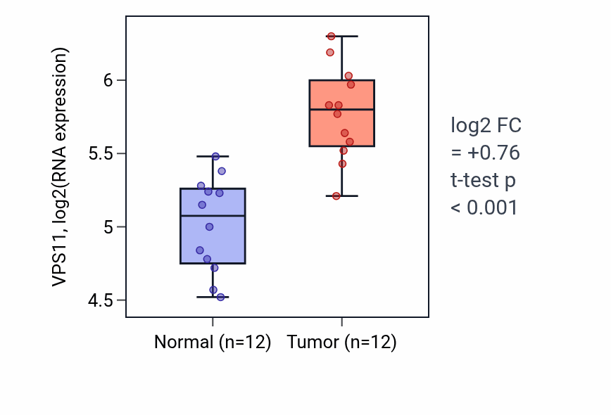 Tumor-vs-normal expression box plot for VPS11 RNA in KIRC.