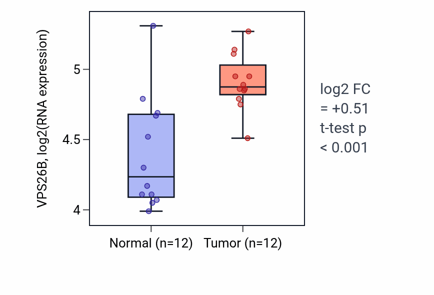 Tumor-vs-normal expression box plot for VPS26B RNA in KIRC.