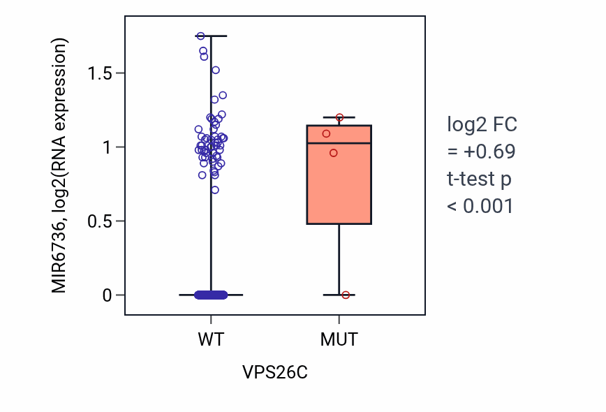 Box plot of MIR6736 in VPS26C-low vs VPS26C-high samples in SKCM.