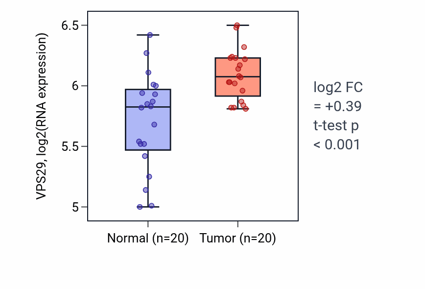 Tumor-vs-normal expression box plot for VPS29 RNA in KIRC.