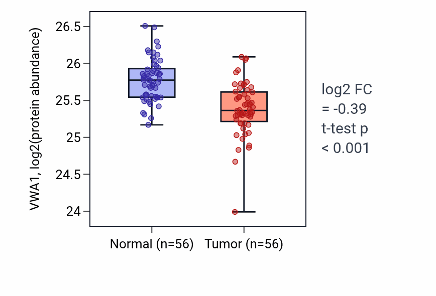 Tumor-vs-normal mass-spec protein box plot for VWA1 in HNSC.