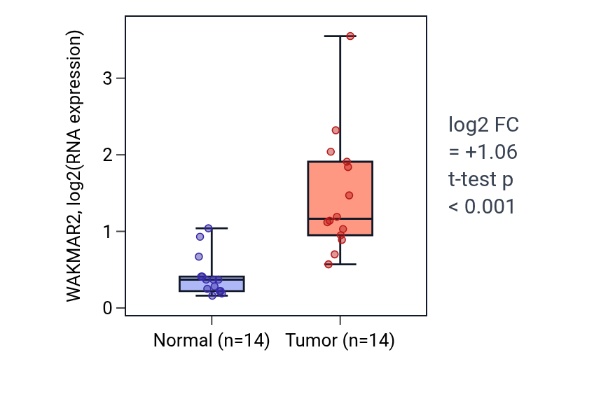 Tumor-vs-normal expression box plot for WAKMAR2 in KIRC.