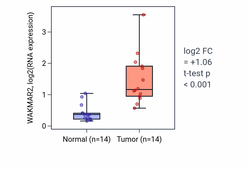 Tumor-vs-normal expression box plot for WAKMAR2 RNA in KIRC.