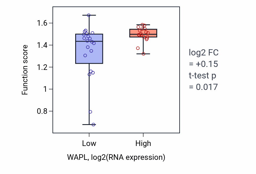 Box plot of Spindle elongation in WAPL-low vs WAPL-high samples in BONE.