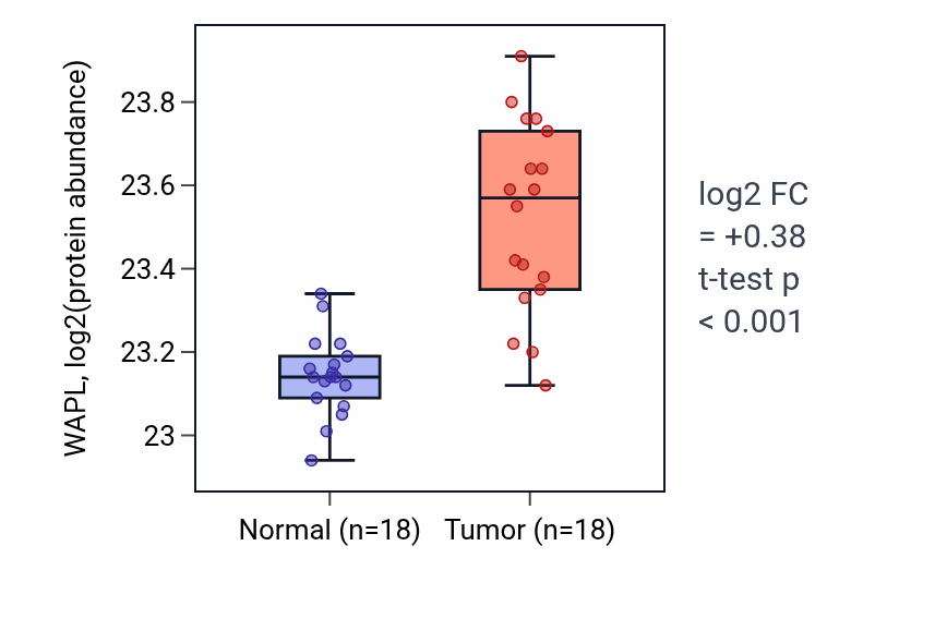 Tumor-vs-normal mass-spec protein box plot for WAPL in COAD.