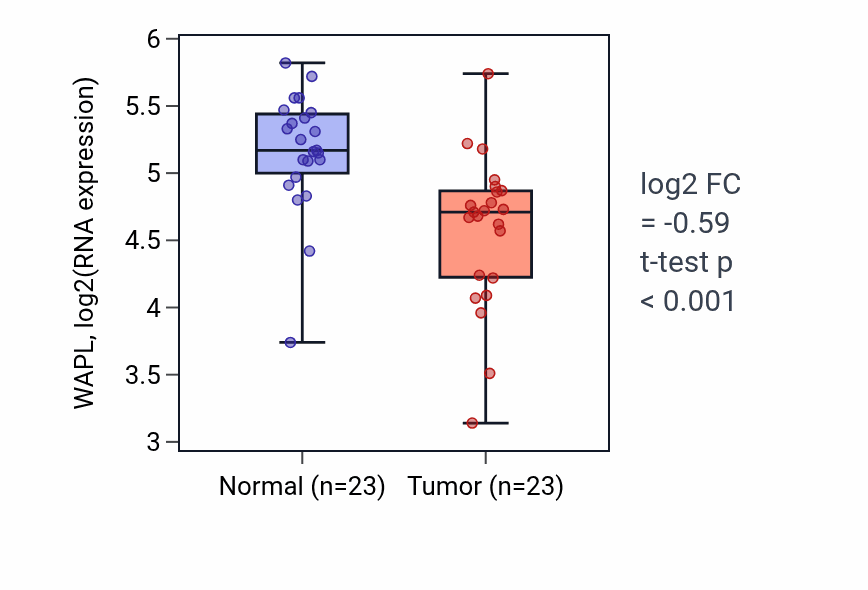 Tumor-vs-normal expression box plot for WAPL RNA in THCA.
