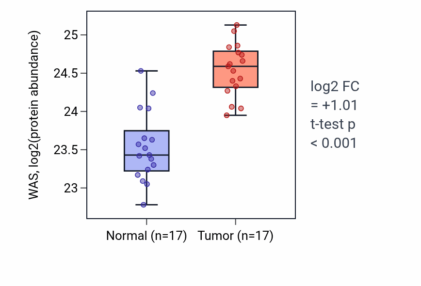 Tumor-vs-normal mass-spec protein box plot for WAS in CCRCC.