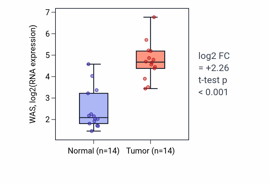 Tumor-vs-normal expression box plot for WAS RNA in KIRC.