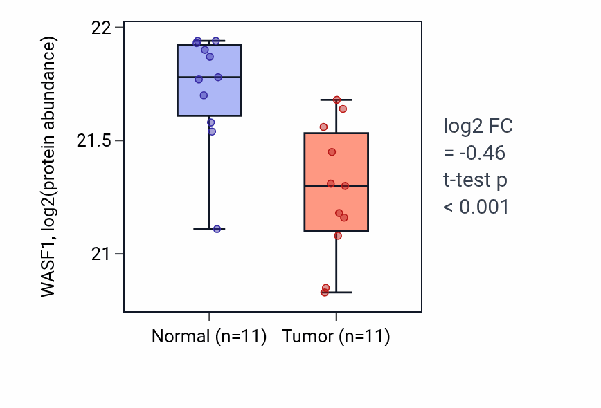 Tumor-vs-normal mass-spec protein box plot for WASF1 in CCRCC.