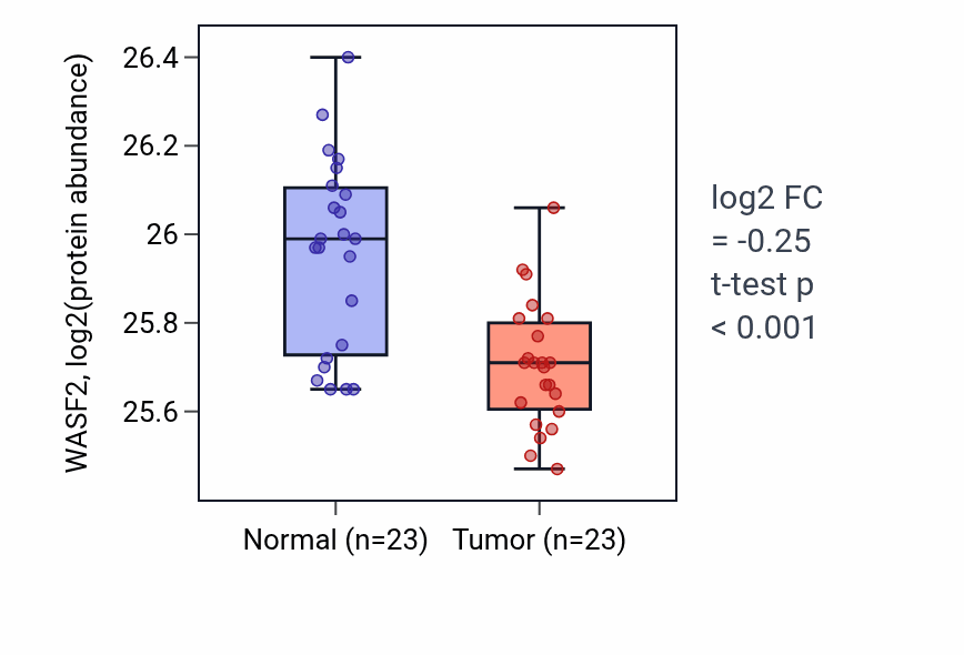 Tumor-vs-normal mass-spec protein box plot for WASF2 in HNSC.
