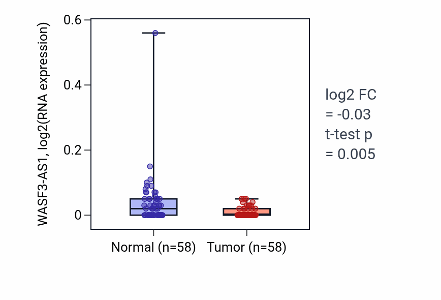 Tumor-vs-normal expression box plot for WASF3-AS1 in THCA.