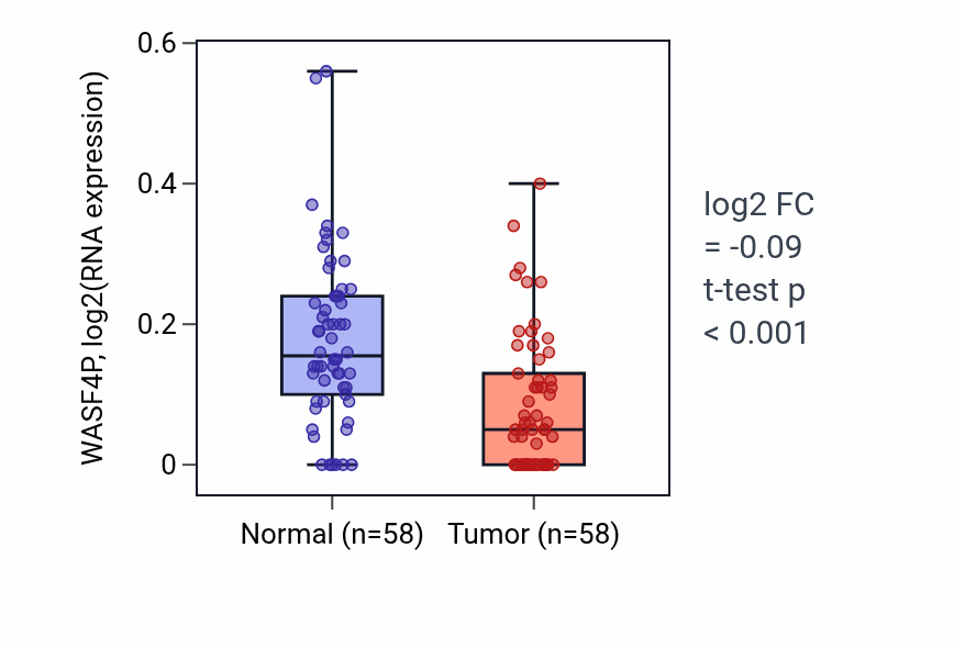 Tumor-vs-normal expression box plot for WASF4P in THCA.
