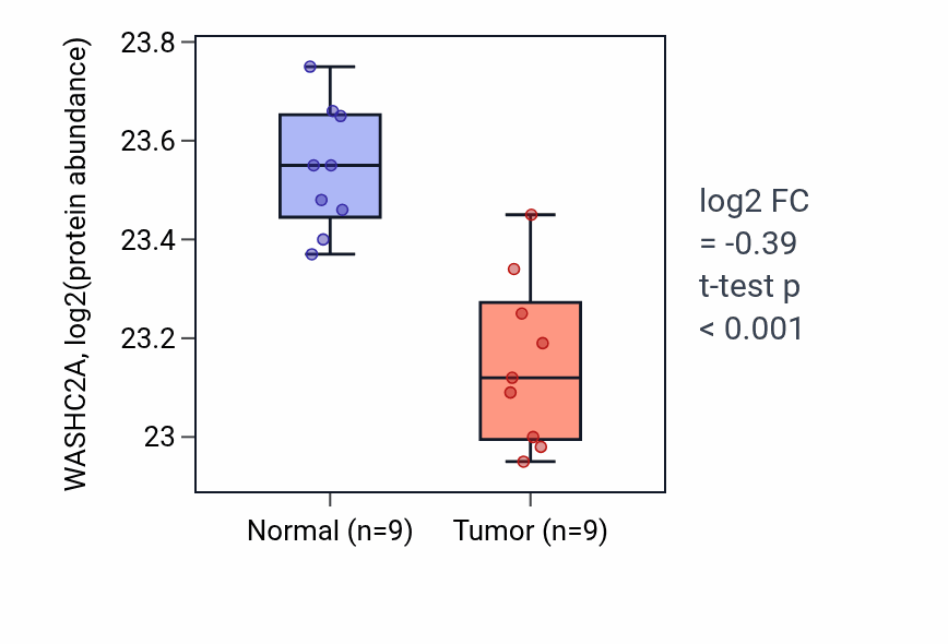 Tumor-vs-normal mass-spec protein box plot for WASHC2A in LSCC.
