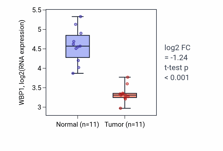 Tumor-vs-normal expression box plot for WBP1 RNA in KICH.