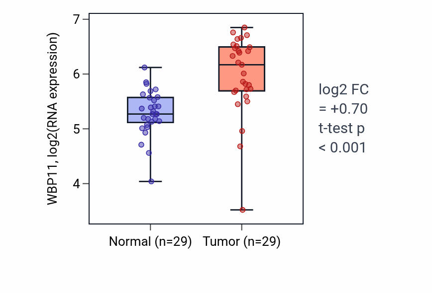 Tumor-vs-normal expression box plot for WBP11 RNA in HNSC.