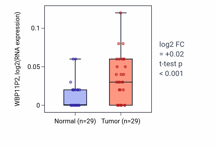 Tumor-vs-normal expression box plot for WBP11P2 in HNSC.