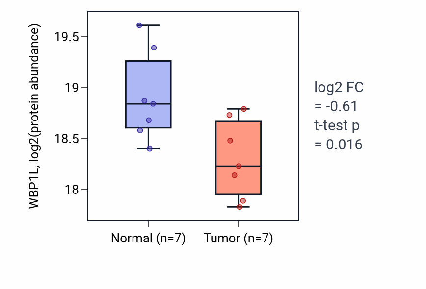 Tumor-vs-normal mass-spec protein box plot for WBP1L in HNSC.