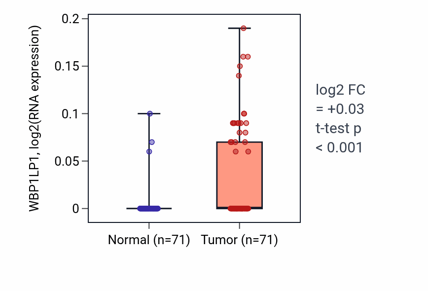 Tumor-vs-normal expression box plot for WBP1LP1 in KIRC.