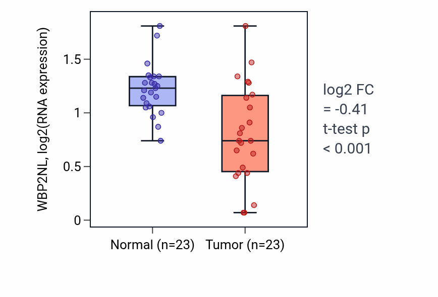 Tumor-vs-normal expression box plot for WBP2NL RNA in THCA.