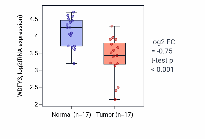 Tumor-vs-normal expression box plot for WDFY3 RNA in THCA.
