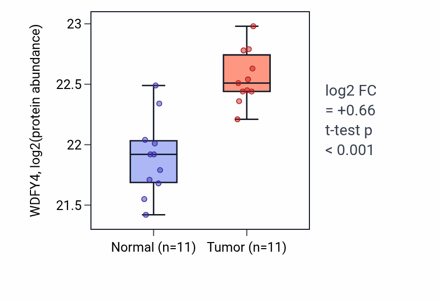 Tumor-vs-normal mass-spec protein box plot for WDFY4 in CCRCC.
