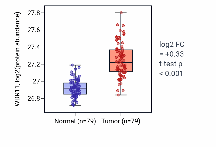Tumor-vs-normal mass-spec protein box plot for WDR11 in LSCC.