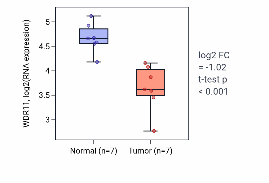 Tumor-vs-normal expression box plot for WDR11 RNA in KICH.