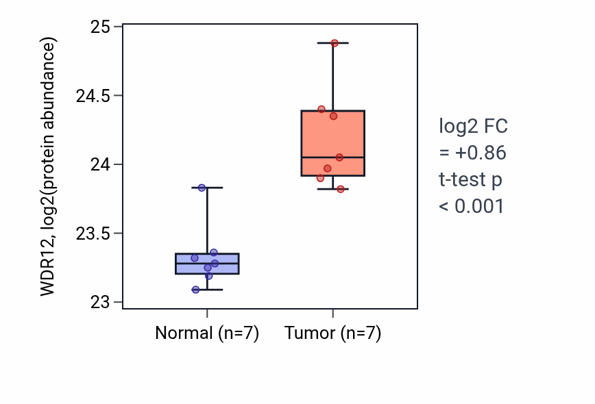 Tumor-vs-normal mass-spec protein box plot for WDR12 in COAD.