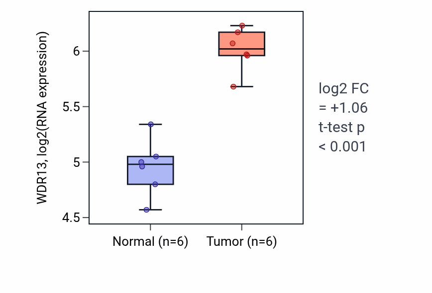 Tumor-vs-normal expression box plot for WDR13 RNA in KIRC.