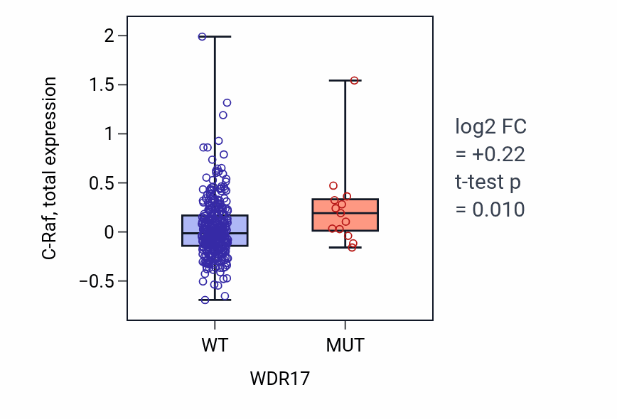 Box plot of C-Raf in WDR17-low vs WDR17-high samples in BLCA.