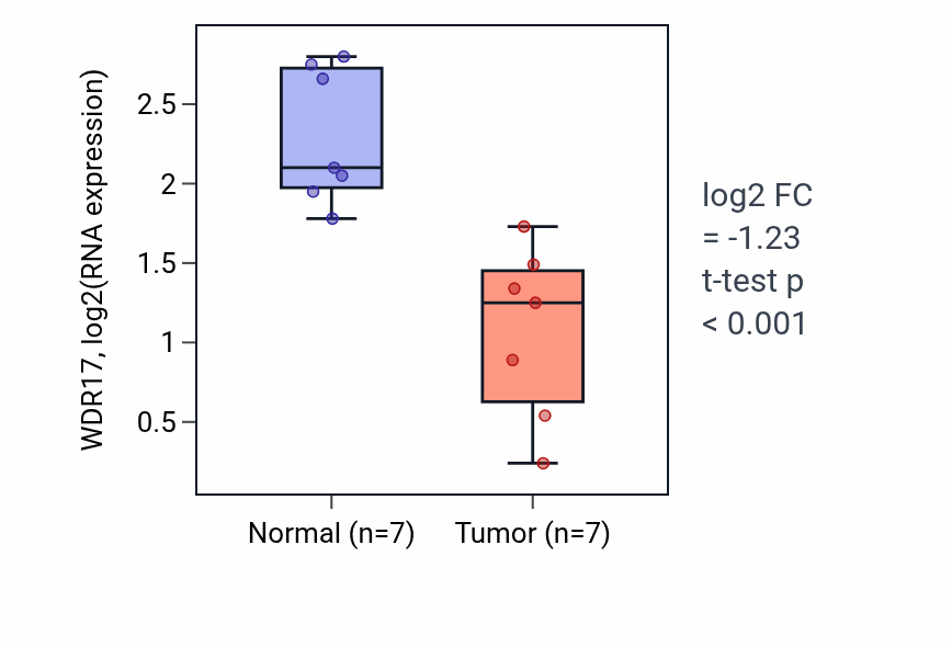 Tumor-vs-normal expression box plot for WDR17 RNA in THCA.
