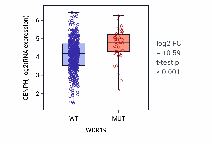 Box plot of CENPH in WDR19-low vs WDR19-high samples in UCEC.