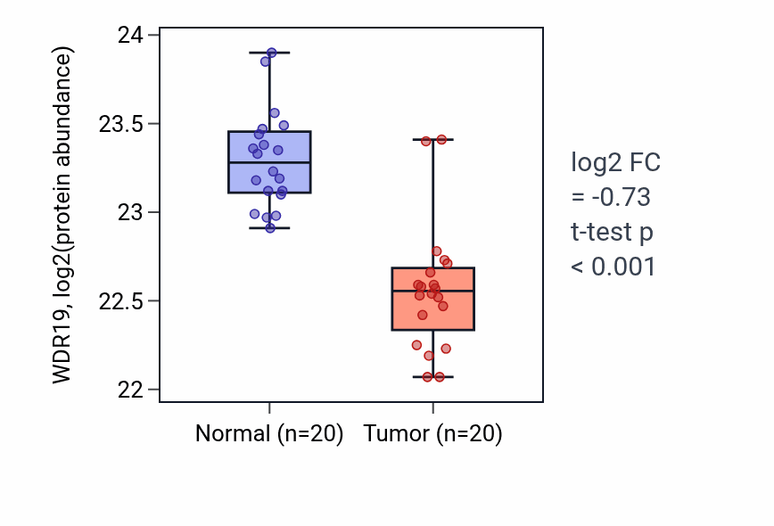 Tumor-vs-normal mass-spec protein box plot for WDR19 in LSCC.