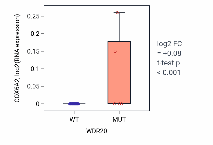 Box plot of COX6A2 in WDR20-low vs WDR20-high samples in LARGE_INTESTINE.