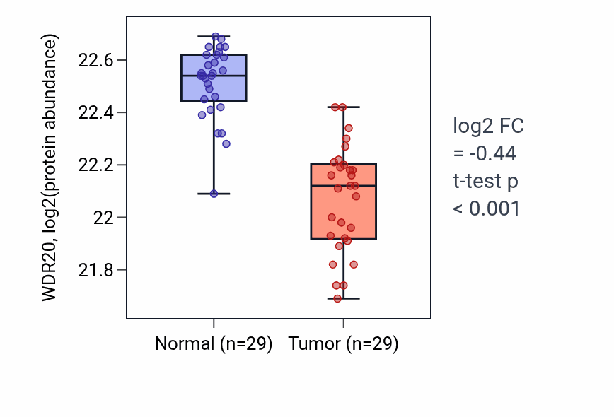 Tumor-vs-normal mass-spec protein box plot for WDR20 in CCRCC.