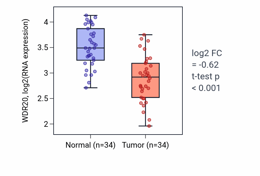 Tumor-vs-normal expression box plot for WDR20 RNA in KIRC.