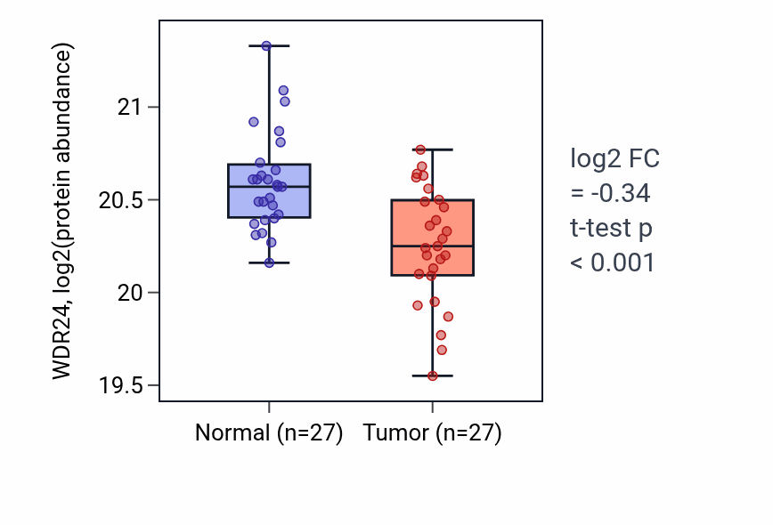Tumor-vs-normal mass-spec protein box plot for WDR24 in COAD.