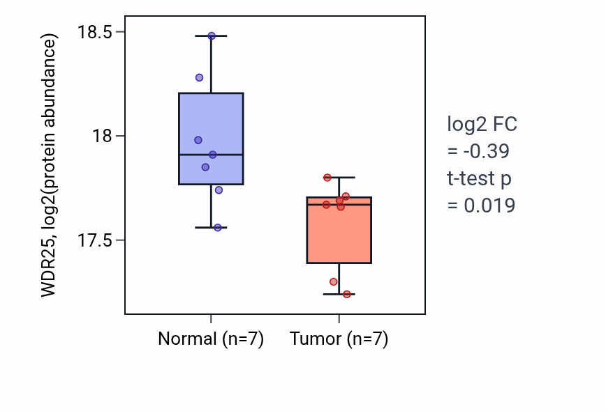 Tumor-vs-normal mass-spec protein box plot for WDR25 in HNSC.