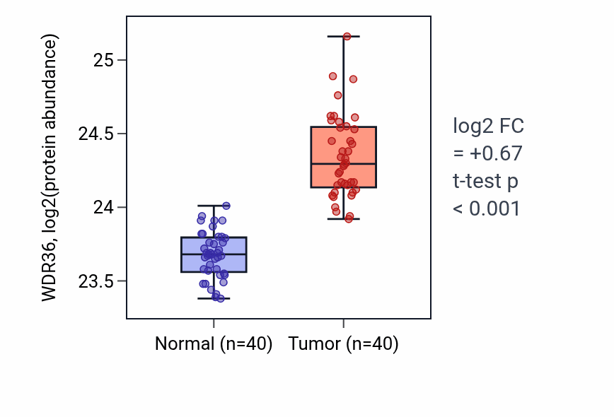Tumor-vs-normal mass-spec protein box plot for WDR36 in COAD.