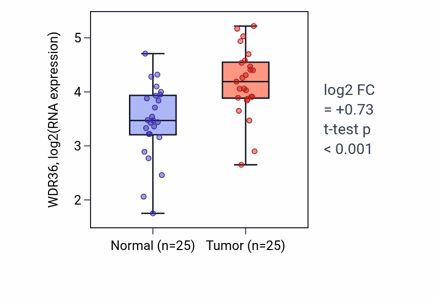Tumor-vs-normal expression box plot for WDR36 RNA in HNSC.