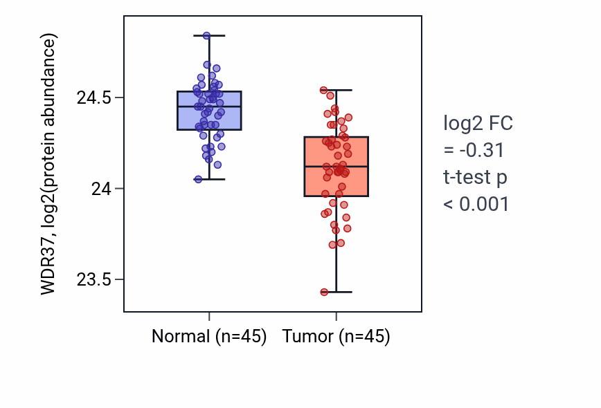 Tumor-vs-normal mass-spec protein box plot for WDR37 in HNSC.