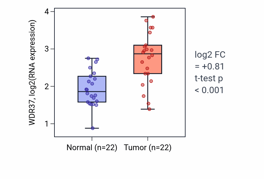 Tumor-vs-normal expression box plot for WDR37 RNA in LIHC.